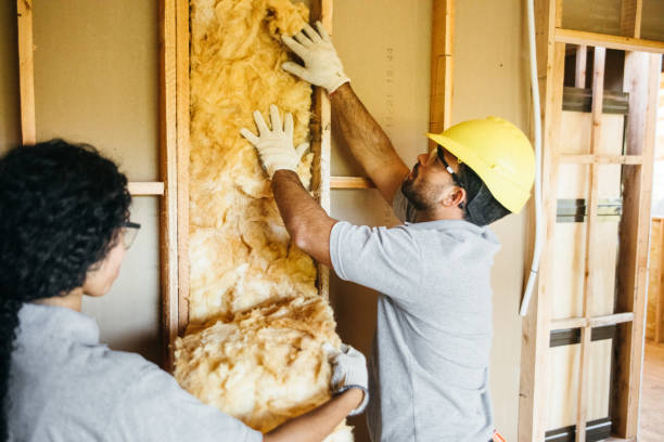 Best Insulation Contractor Near Me  in Baldwin, LA