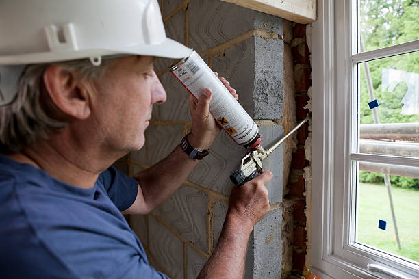 Best Home Insulation Services  in Baldwin, LA