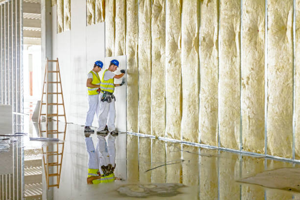 Insulation Repair Services in Baldwin, LA